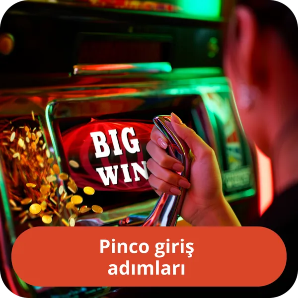 Pinco giriş adımları